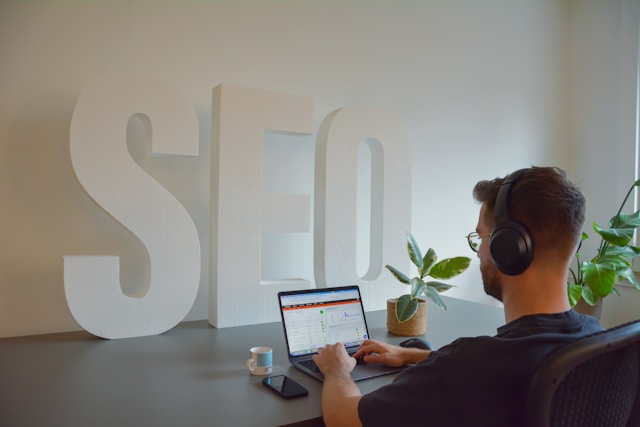 Google Ranking Expert vs SEO Experts