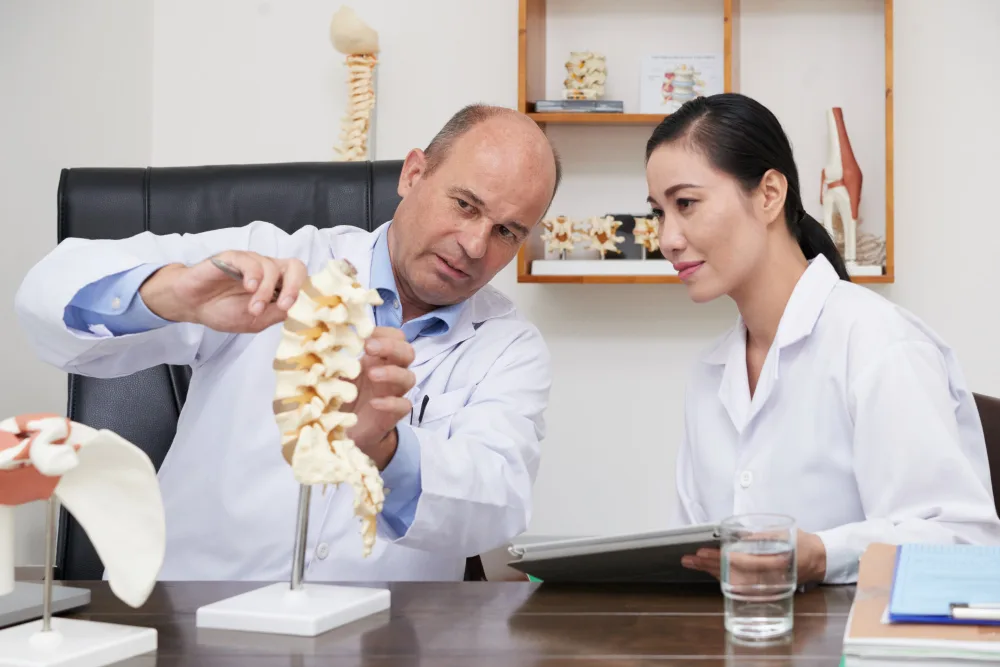Why Chiropractors Need SEO